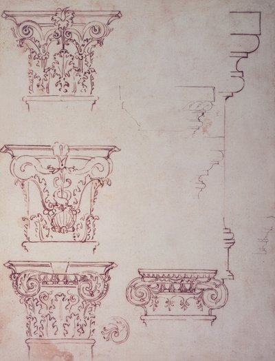 Studies for a Capital by Michelangelo Buonarroti